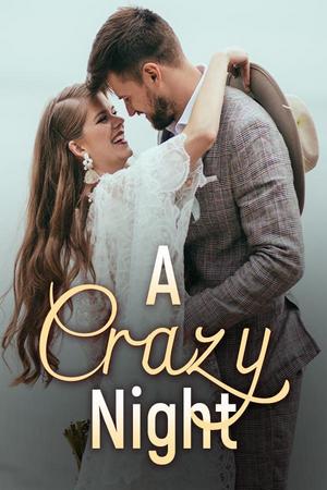 A Crazy Night Novel